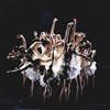 Ballet Preljocaj : Le Lac des Cygnes - Opéra Royal - Château de Versailles