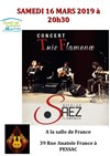 Nicolas Saez : Trio Flamenco - Salle de france