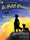 Le Petit Prince - Sud Est Théâtre