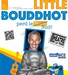 Sébastien Boudot dans Little Bouddhot perd le Sud ! - Théâtre de la tour