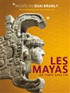 Visite guidée : exposition maya, révélation d'un temps sans fin - Musée du quai branly