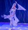 Cirque sur glace - Théâtre Le Blanc Mesnil - Salle Barbara