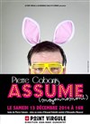 Pierre Cabanis dans Pierre Cabanis assume moyennement - Le Point Virgule