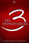 Les 3 Hypnotiseurs - Théâtre de l'Observance - salle 1