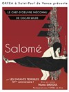 Salomé - Théâtre de Ménilmontant - Salle Guy Rétoré