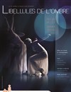 Libellules de l'ombre - Espace Icare