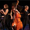 Come Bach - Espace Michel Simon