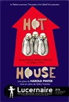 Hot house - Théâtre Le Lucernaire