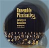 Pizzicatis : Ensemble de mandolines et guitares - Théâtre Albert Caillou
