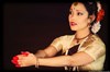 Anusha Cherer - Centre Mandapa
