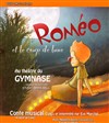 Roméo et le coup de lune - Le Théâtre du Petit Gymnase
