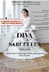 Une diva à Sarcelles - Théâtre Le Fil à Plomb