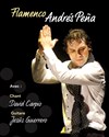 Peña - Trio Flamenco d'Andalousie - Café de la Danse