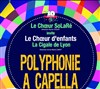 Le Choeur SoLaRé invite La Cigale de Lyon - Polyphonie du monde - Théâtre de Châtillon
