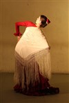 Flamenco : El camino se hace al bailar - Théâtre du Centre d'Animation Mathis