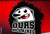 Match d'impro : Les Ours Molaires - Maison pour tous George Sand