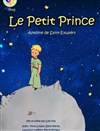 Le petit prince - Théâtre Le Petit Manoir