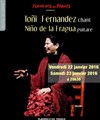Toñi Fernández / El Niño de la Fragua - Flamenco en Françe
