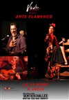 Arte Flamenco - Le Sentier des Halles