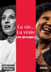 La vie... La vraie (ou presque) - Le Paris de l'Humour