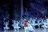 Casse-Noisette - Ballet de l'Opéra National de Kiev - Théâtre des Champs Elysées