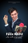 Félix Radu dans Les Mots s'improsent - La Petite Loge Théâtre