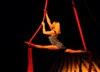 Cabaret Cirque Russe - Le Zèbre de Belleville