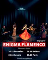 Enigma Flamenco - La comédie d'Amiens 