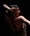 Esencia Flamenca - Théâtre Silvia Monfort