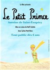 Le Petit Prince - Théâtre Nice Saleya (anciennement Théâtre du Cours)