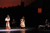 Carmen Flamenco - Scène Prévert
