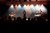 Les bandits manchots - La Basse Cour