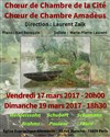 Choeur de chambre Amadeus - Choeur de chambre de la Cité - Eglise Evangélique allemande