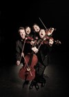 Quatuor Leonis - Carré Belle-Feuille