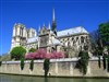 Visite guidée : L'île de la Cité. Le berceau de Paris. De la Place Dauphine à la maison d'Eloïse et Abélard | par Laurent Wittevert - Métro Pont Neuf