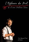 Mathieu Cohin dans L'effleure du mot - La Comédie d'Avignon 