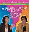 Une mémoire d'éléphant (dans un magasin de porcelaine) - Salle Pierre Lamy