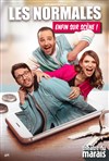 Les Normales dans Enfin sur scène ! - Théâtre du Marais