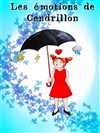 Les émotions de Cendrillon - Défonce de Rire