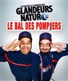 Affiche de Le bal des pompiers
