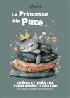La Princesse à la puce - Aktéon Théâtre 