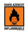 David Azencot dans Inflammable - Espace Gerson