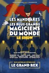 Les Mandrakes, le show - Le Grand Rex