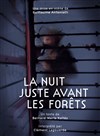 La Nuit juste avant les forêts - Théâtre Pixel