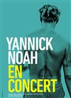 Yannick Noah - Théâtre de Longjumeau