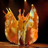 Danse orientale : Les Sept Portes De L'Orient - Théâtre de Montrouge