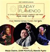 Sunday Flamenco - Péniche Antipode