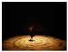 Ash - Centre des Arts