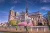Visite guidée : Notre-Dame de Paris | par Calliopée - art-culture - Cathédrale Notre-Dame de Paris