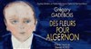 Des fleurs pour Algernon - Théâtre Armande Béjart